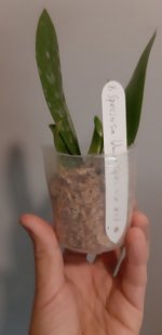 20201104_144423.jpg