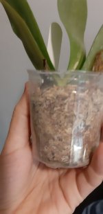 20201104_144359.jpg