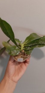 20201104_143737.jpg