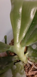 20201104_143749.jpg