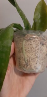 20201104_143743.jpg