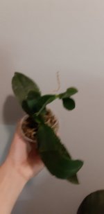 20201104_150225.jpg
