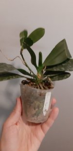 20201104_150222.jpg