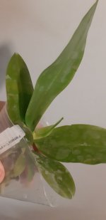 20201104_150129.jpg