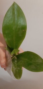 20201104_150134.jpg