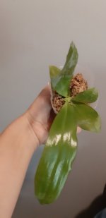20201104_144804.jpg