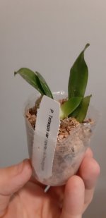 20201104_145143.jpg