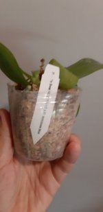 20201104_145342.jpg