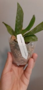 20201104_145422.jpg