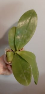20201104_145347.jpg