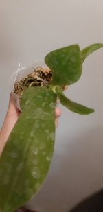 20201104_145429.jpg