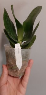 20201104_150512.jpg
