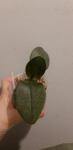 20201107_193026.jpg