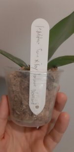 20201108_161526.jpg