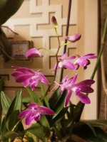 IMG_20201015_231023.jpg