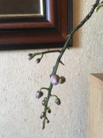6865F38D-E28E-4482-9D1B-EA64E11EE783.jpeg