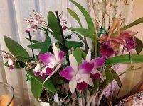20201110_073648.jpg