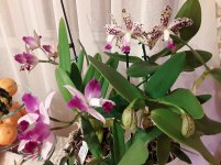 20201108_213114.jpg