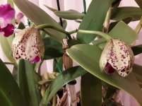 20201109_064422.jpg