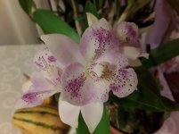 20201110_074011.jpg
