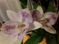 20201110_074049.jpg