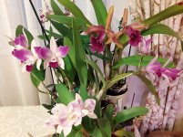 20201110_073912.jpg
