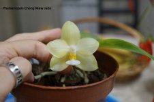 DSC02047.JPG