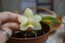 DSC02045.JPG