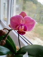 IMG_20201110_143546.jpg