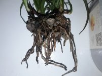 20201110_192515.jpg