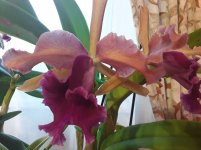 20201111_091234.jpg