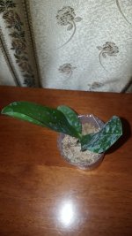 20201110_194915.jpg