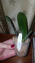 20201110_194926.jpg