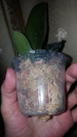 20201110_194935.jpg