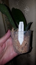 20201110_194941.jpg