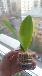 20201111_130955.jpg