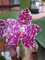 20201111_132936.jpg