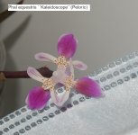 DSCN7738.JPG