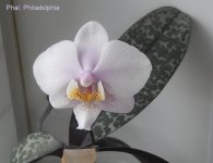 DSCN7741.JPG