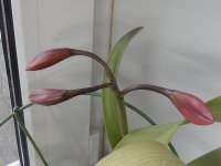 DSCN7732.JPG