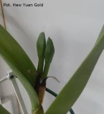 DSCN7733.JPG
