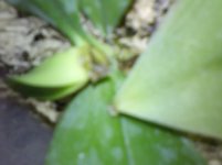 IMG10273.jpg