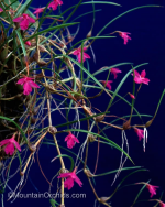 ca023de0fc7309b644f3c6d59a9b85c6.png
