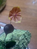 IMG_20201114_075908.jpg