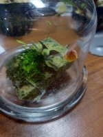 IMG_20201113_180901.jpg