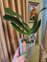 20201111_110216.jpg