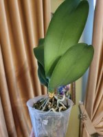 20201111_110225.jpg