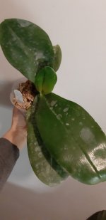 20201114_161233.jpg