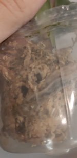 20201114_161417.jpg
