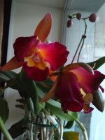 IMG_20201106_171026.jpg